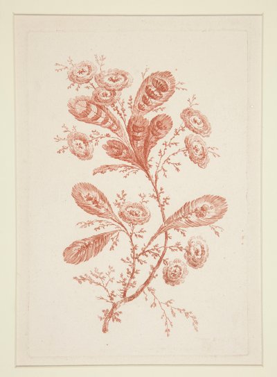 Senza Titolo (Fiori Ideali), da una serie di sei da Jeanne Deny