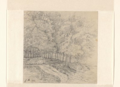 Paesaggio con alberi da Jeanne Marie Heynsius (signed by artist)