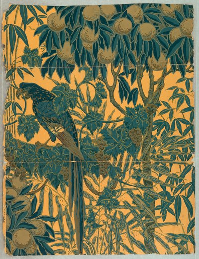 Sidewall, Macaw, 1908 da Jeffrey