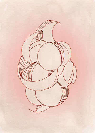 Forme delicate dei petali da Jenja Braun