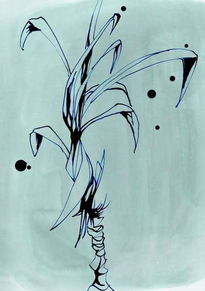 Disegno minimalista di una pianta da Jenja Braun