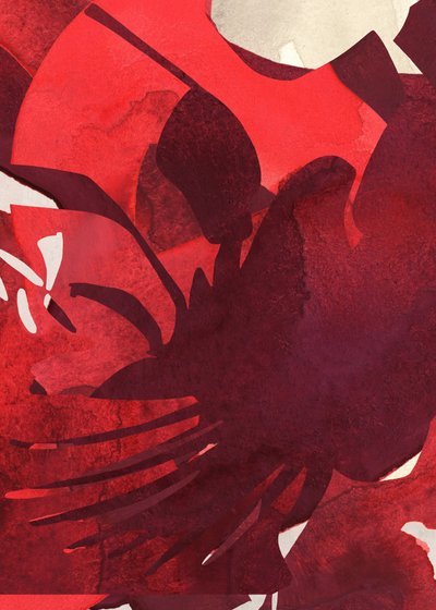 Petali di un cremisi intenso da Jenja Braun