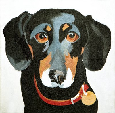 Buster, 2012 (acrilico su tela) da Jennifer Abbott