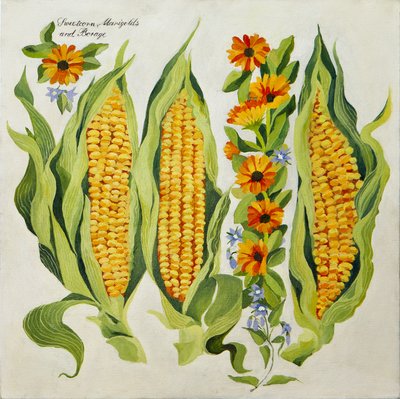 Fiori di mais e midollo, 2014 (acrilico su tela) da Jennifer Abbott
