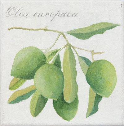 Olive verdi (acrilico) da Jennifer Abbott