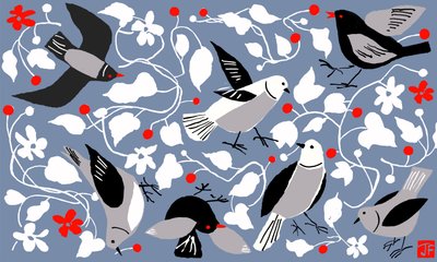 Birdy da Jenny Frean