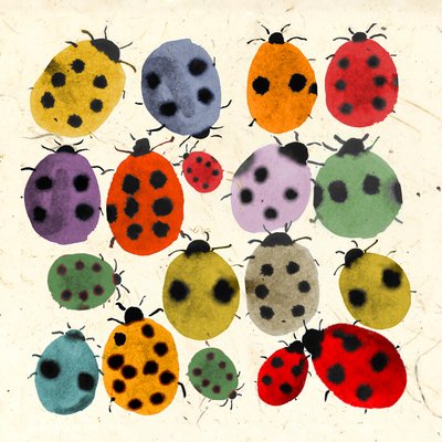 Coccinelle inchiostrate, 2022 da Jenny Frean