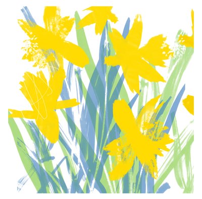 Narcisi primaverili da Jenny Frean