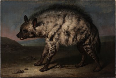 La iena nel menagerie presso il Castello di Frederiksberg da Jens Juel