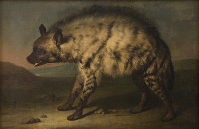 La iena nel menagerie presso il Castello di Frederiksberg da Jens Juel