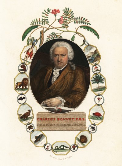 Ritratto di Charles Bonnet, naturalista ginevrino da Jens Juel