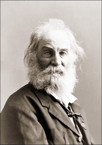 Ritratto di Walt Whitman di Gurney tra il 1880 e il 1890 da Jeremiah Gurney