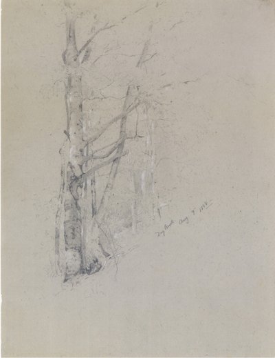 Ruscello secco da Jervis McEntee