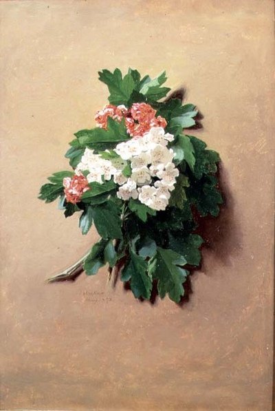 Maggio (da una serie di dodici) da Jessica Hayllar