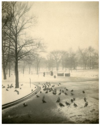 Boston Common, Boston, USA, c.1902-10 da Jessie Tarbox Beals