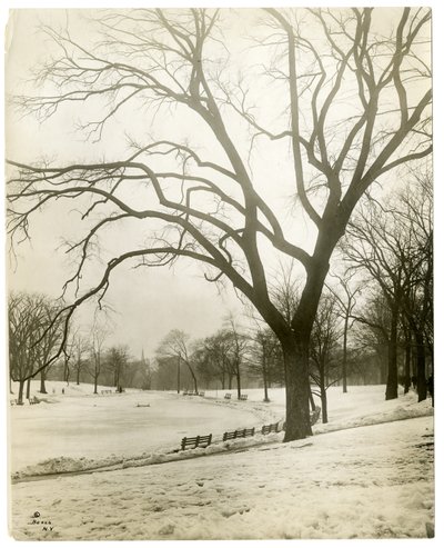 Boston Common e stagno delle rane, vicino all