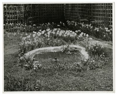 Giardino del Sig. e Sig.ra Wm H Wells 265 W 11th St, New York, USA da Jessie Tarbox Beals