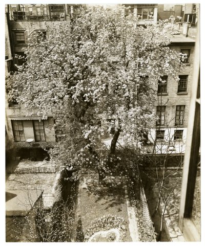 Signora W H Wells 265 W 11th da Jessie Tarbox Beals
