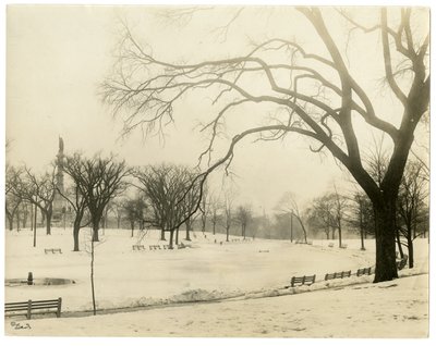 The Common, Boston, USA, c.1902-10 da Jessie Tarbox Beals