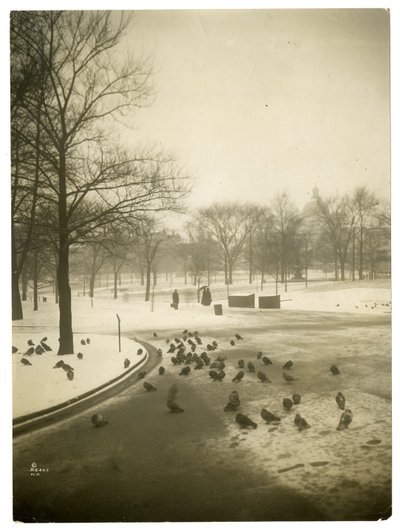 Freddo insolitamente rigido nel Common, Boston, USA, c.1902-10 da Jessie Tarbox Beals