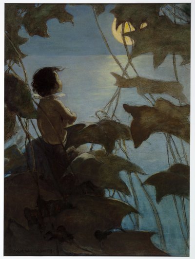 Guardò la grande luna gialla e pensò che lei lo guardasse, da The Water Babies di Charles Kingsley, pub. 1916 da Jessie Willcox Smith