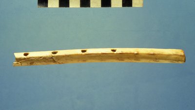 Flauto, Città di David, c.799-600 a.C. da Jewish School