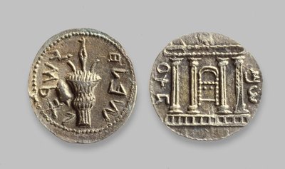 Monete Selah dalla Rivolta di Bar Kochba, 134 d.C. da Jewish School