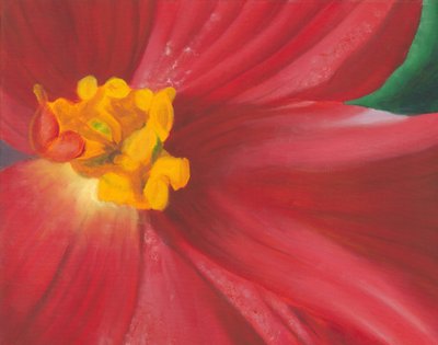 Fioritura rosso vivo da Jillian Claire