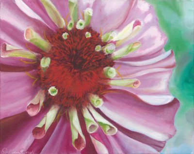 Zinnia dai colori vivaci da Jillian Claire