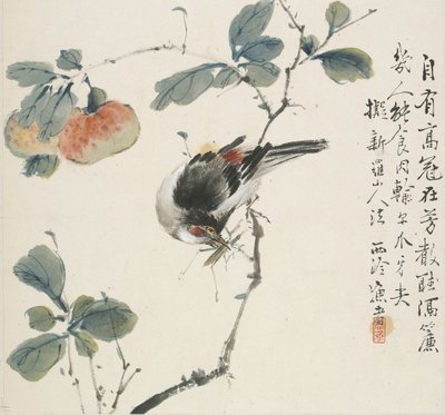 Un Hwamei Cinese che Mangia una Cavalletta da Jin Yuan