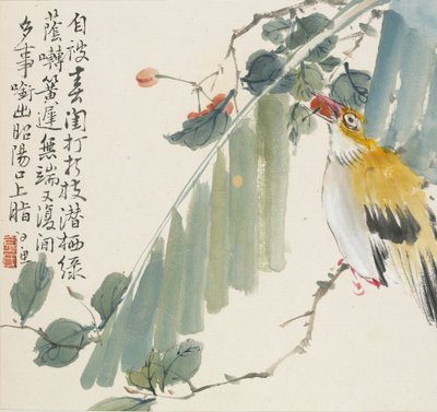 Rigogolo con una ciliegia in bocca da Jin Yuan