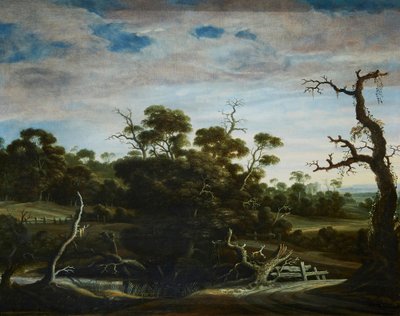 Paesaggio collinare con alberi da Joachim Govertsz Camphuysen