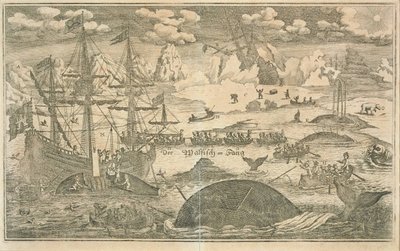 La pesca delle balene da Joachim Wichmann