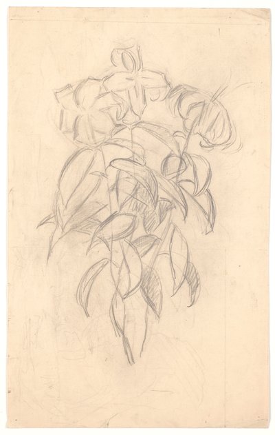 Studio di fiori da Joakim Frederik Skovgaard