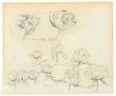 Studi di fiori da Joakim Frederik Skovgaard
