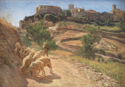 Un pastorello con le sue pecore a Cività d