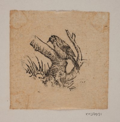 Un picchio da Joakim Frederik Skovgaard