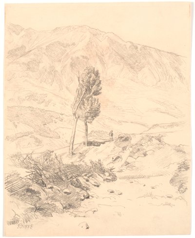 Paesaggio montano italiano con due alberi da Joakim Frederik Skovgaard