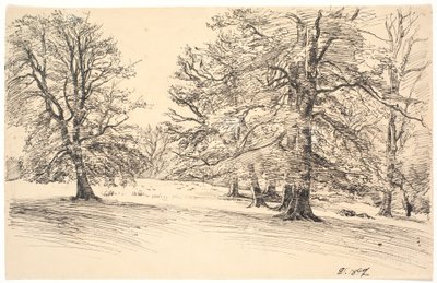 Terreno leggermente inclinato con grandi alberi sparsi da Joakim Frederik Skovgaard