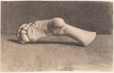 Disegno da gesso. Un piede da Joakim Frederik Skovgaard