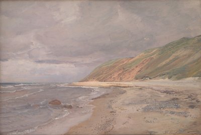 Spiaggia di Tisvilde. Tempo nuvoloso da Joakim Frederik Skovgaard