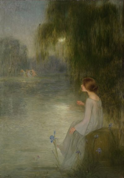 Sogno da Joan Brull