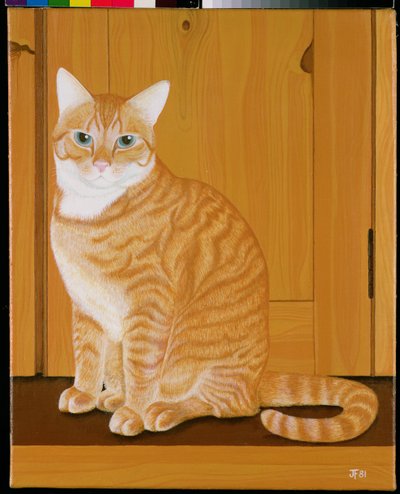 Gatto marmellata vicino a una porta da Joan Freestone