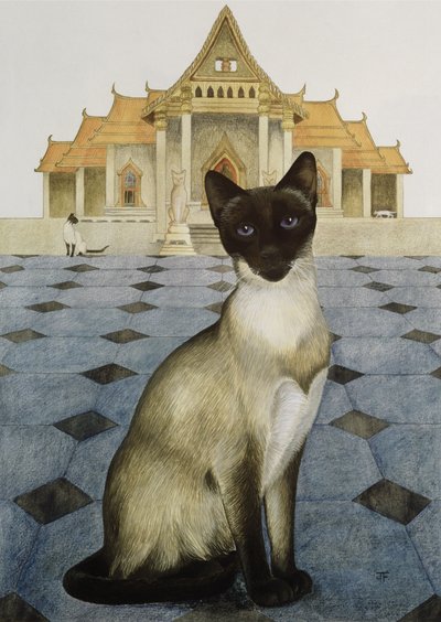 Siamese da Joan Freestone
