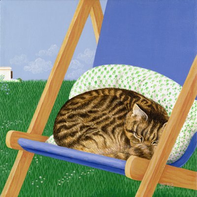 Gatto tigrato addormentato su una sedia a sdraio da Joan Freestone