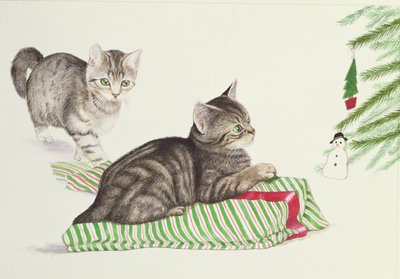 Due gattini da Joan Freestone