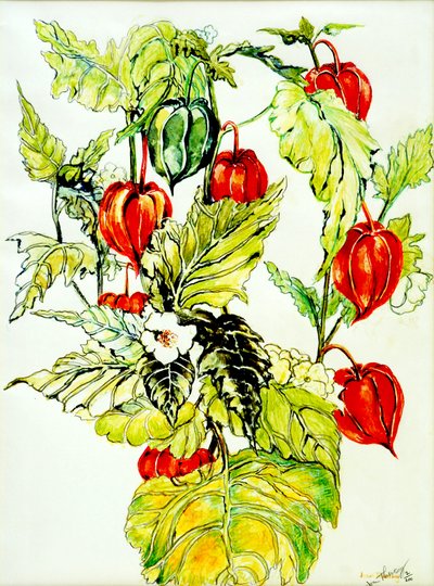 Spray di lanterna cinese, 2005 da Joan Thewsey