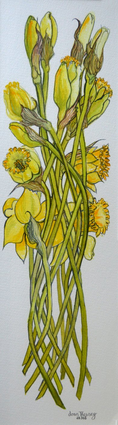 Narcisi, 2008 da Joan Thewsey