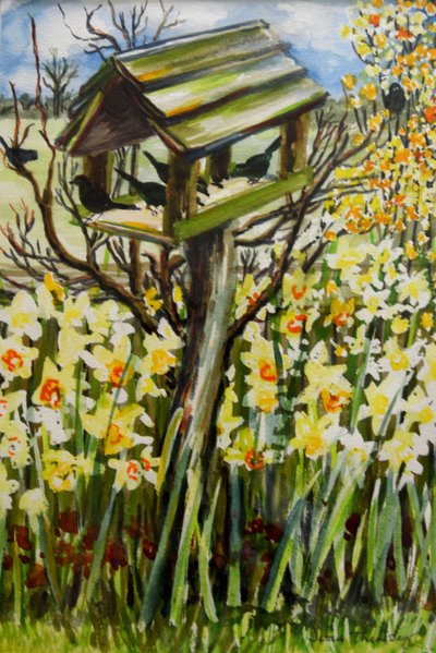 Narcisi e uccelli nella voliera, 2000 da Joan Thewsey