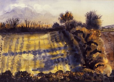 Campo con lunghe ombre, 1990 da Joan Thewsey